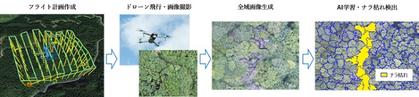 1016ntteast3 - NTT東、埼玉・所沢でドローン撮影画像でAI解析ソフトで「ナラ枯れ」把握の実証実験