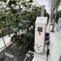 0705agrist1 120x120 - アグリスト、JA全農いわてとピーマン収穫ロボットの実証実験