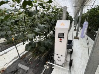 実証農場で稼働するキュウリ収穫ロボット