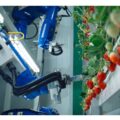 0325oishiifarm 120x120 - ABC、AI認知技術活用のいちご自動受粉・収穫ロボット開発