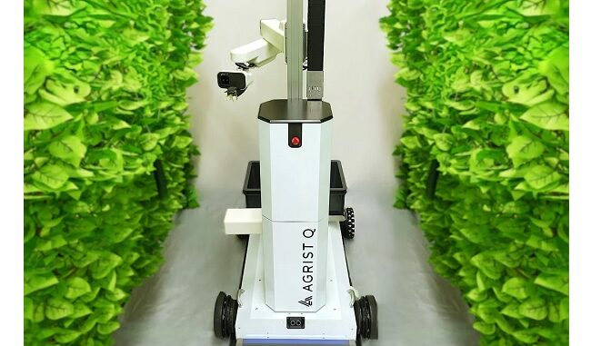 自動収穫ロボット「Q（キュー）」