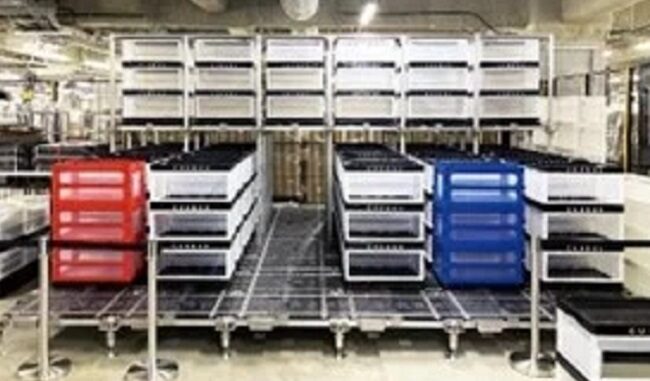 キューバスが開発する都市型立体ロボット倉庫システム「キューバス（CUEBUS）」