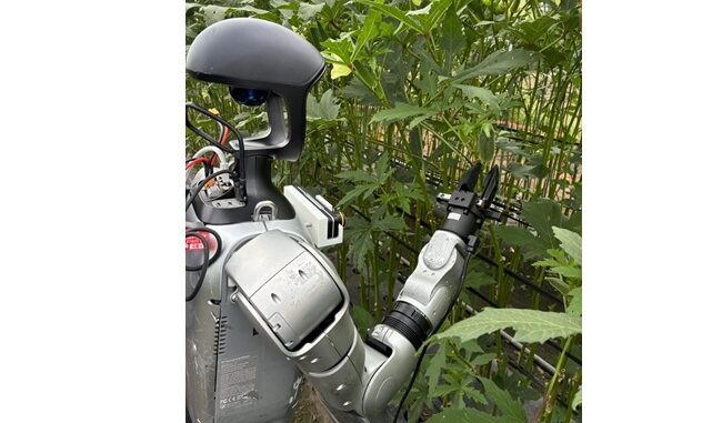 鹿児島県内のオクラ農場で実証するヒューマノイドロボット「Unitree G1」